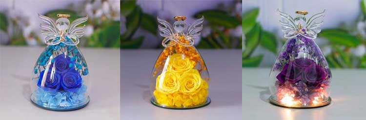 buy Angelic Eternal Rose discount buy Angelic Eternal Rose discount
