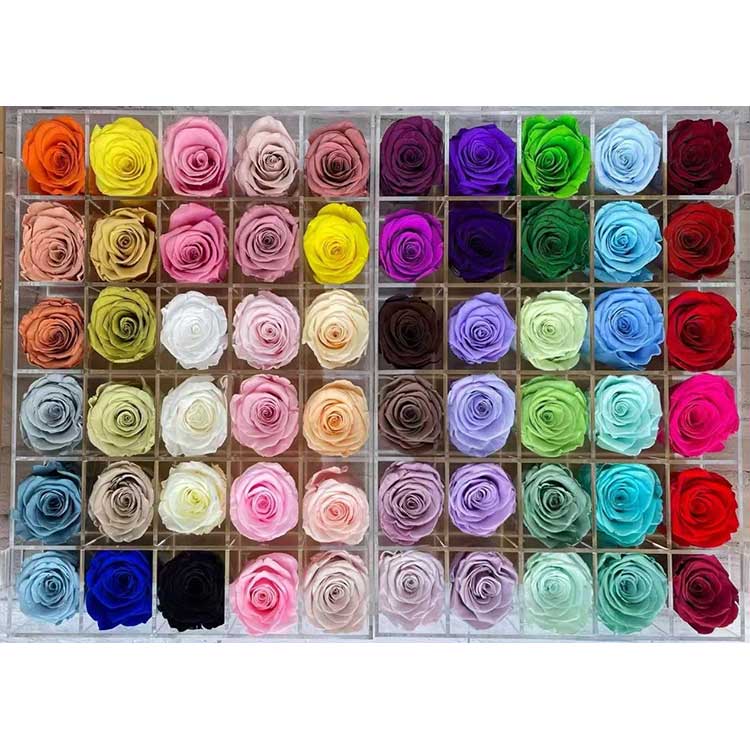 Сочувани рози